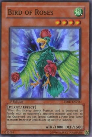 Bird of Roses - TSHD-EN018 Super Rare 1st Edition