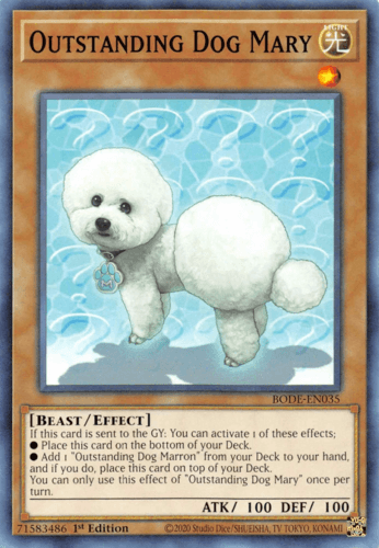 Outstanding Dog Mary - BODE-EN035 Common 1st Edition