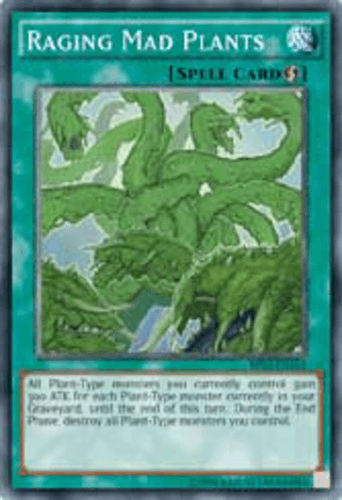 Raging Mad Plants - BP03-EN165 Common 1st Edition