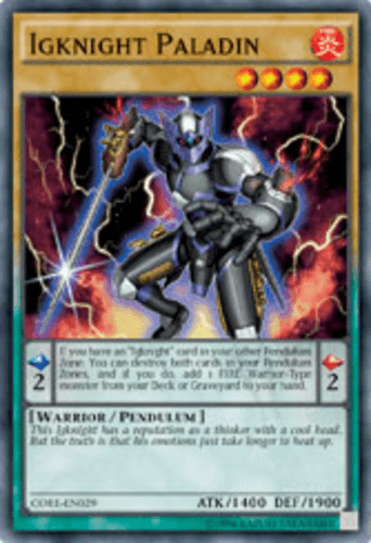 Igknight Paladin - CORE-EN029 Common Unlimited