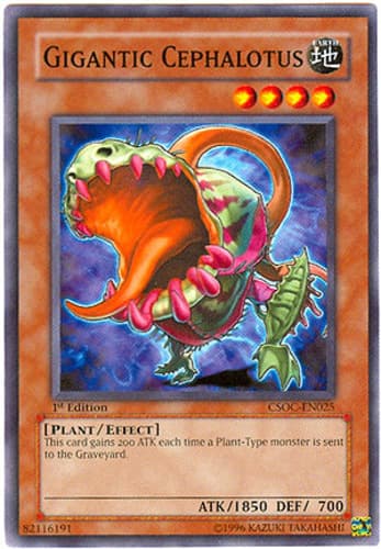 Gigantic Cephalotus - CSOC-EN025 Common Unlimited