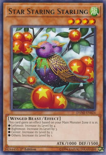 Star Staring Starling - DANE-EN024 Rare 1st Edition