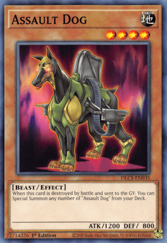Assault Dog - DLCS-EN035 Common 1st Edition