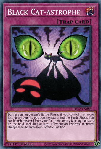 Black Cat-astrophe - DLCS-EN088 Common 1st Edition