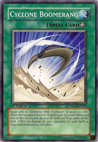 Cyclone Boomerang - DP03-EN015 Common Unlimited