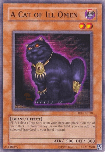 A Cat of Ill Omen - DR1-EN018 Common Unlimited