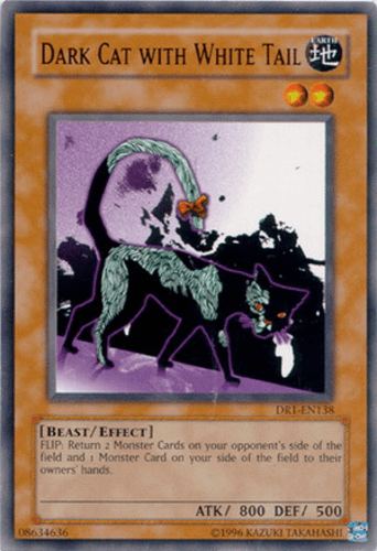 Dark Cat with White Tail - DR1-EN138 Common Unlimited