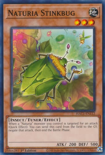 Naturia Stinkbug - DT04-EN078 Common Limited