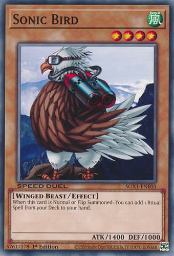 Sonic Bird - DT05-EN052 Duel Terminal Normal Parallel Rare Limited Edition