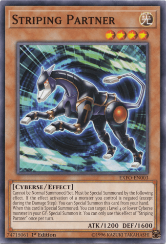 Striping Partner - EXFO-EN003 Common Unlimited