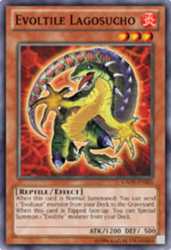 Evoltile Lagosucho - GAOV-EN026 Common Unlimited