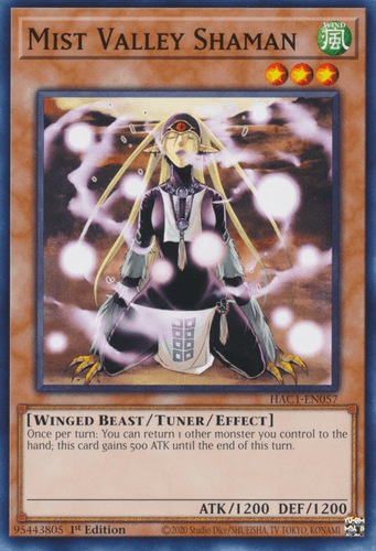 Mist Valley Shaman - HAC1-EN057 Common 1st Edition