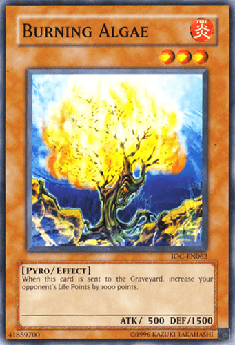 Burning Algae - IOC-EN062 Common Unlimited