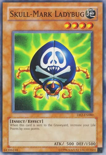 Skull-Mark Ladybug - IOC-EN079 Common Unlimited