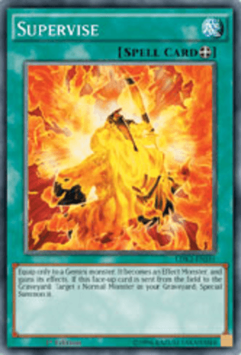 Supervise - LDK2-ENJ31 Common 1st Edition