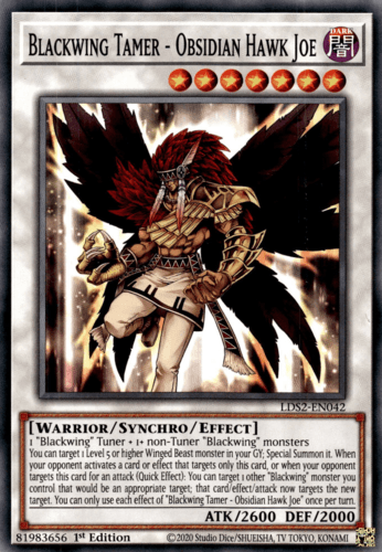 Blackwing Tamer - Obsidian Hawk Joe - LDS2-EN042 Common 1st Edition