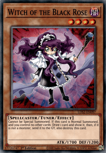 Witch of the Black Rose - LDS2-EN097 Common 1st Edition