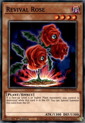 Revival Rose - LDS2-EN098 Common 1st Edition