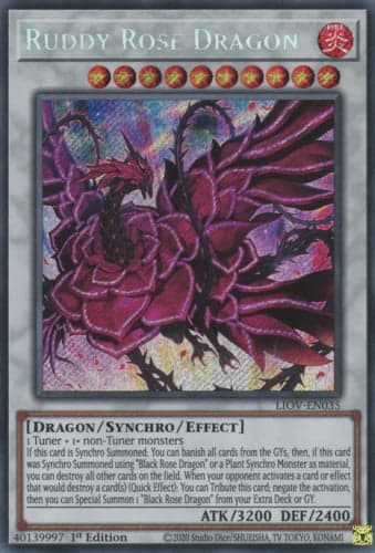 Ruddy Rose Dragon - LIOV-EN035 Secret Rare 1st Edition