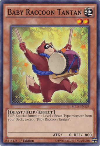 Baby Raccoon Tantan - MP14-EN137 Common Unlimited