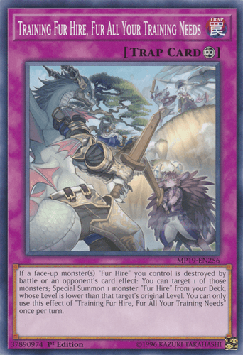 Training Fur Hire, Fur All Your Training Needs - MP19-EN256 Common Unlimited
