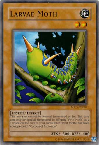 Larvae Moth - MRD-EN007 Common Unlimited