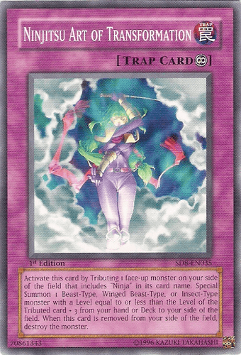 Ninjitsu Art of Transformation - SD8-EN035 Common Unlimited