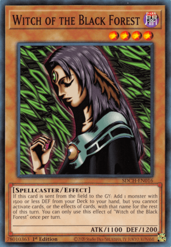 Witch of the Black Forest - SDCH-EN016 Common 1st Edition