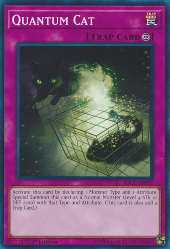 Quantum Cat - SDCL-EN037 Common 1st Edition