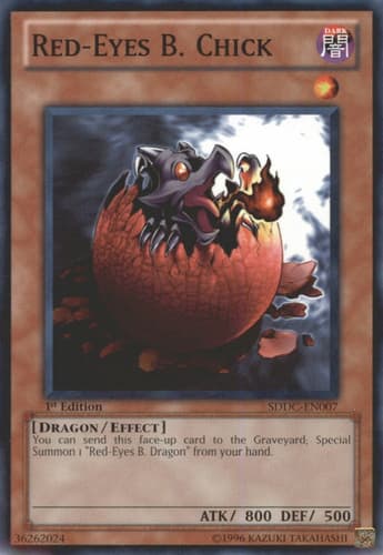 Black Dragon's Chick - SDDC-EN007 Common 1st Edition