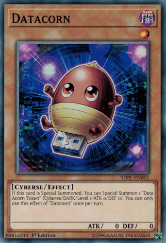Datacorn - SDPL-EN001 Common 1st Edition