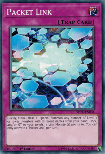 Packet Link - SDPL-EN031 Common 1st Edition