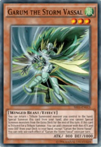 Garum the Storm Vassal - SR01-EN015 Common 1st Edition
