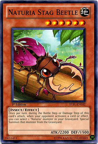 Naturia Stag Beetle - STBL-EN032 Common Unlimited