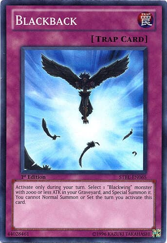 Blackback - STBL-EN065 Super Rare 1st Edition