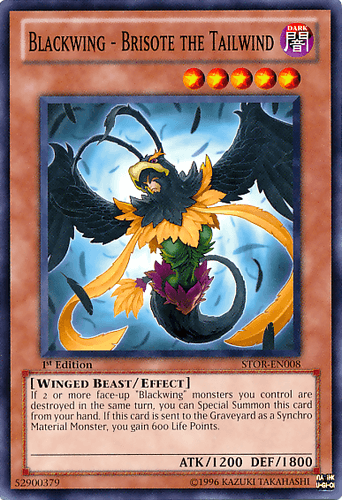 Blackwing - Brisote the Tailwind - STOR-EN008 Common 1st Edition