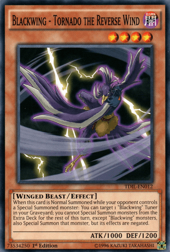 Blackwing - Tornado the Reverse Wind - TDIL-EN012 Common 1st Edition