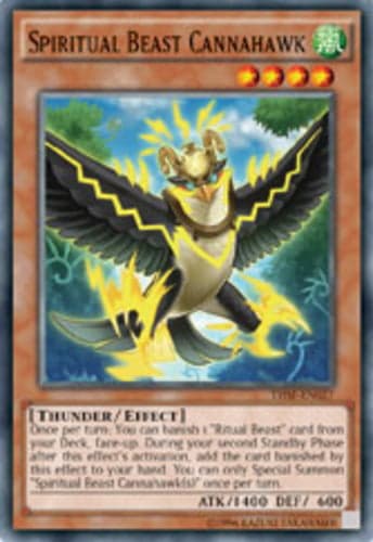 Spiritual Beast Cannahawk - THSF-EN027 Super Rare Unlimited