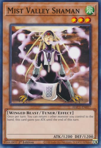 Mist Valley Shaman - DT01-EN014 Duel Terminal Super Parallel Rare Limited Edition