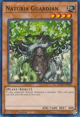 Naturia Guardian - DT02-EN009 Duel Terminal Super Parallel Rare Limited Edition