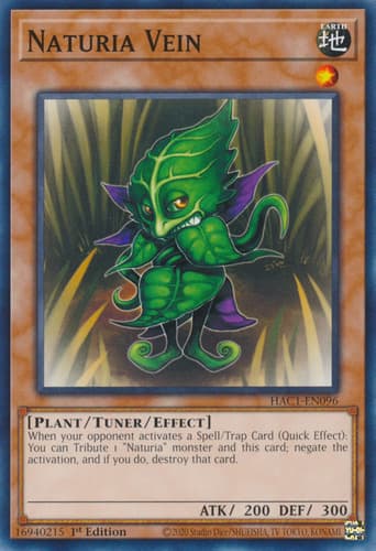Naturia Vein - DT02-EN010 Duel Terminal Normal Parallel Rare Limited Edition