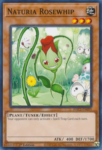 Naturia Rosewhip - DT02-EN071 Duel Terminal Rare Parallel Rare Limited Edition