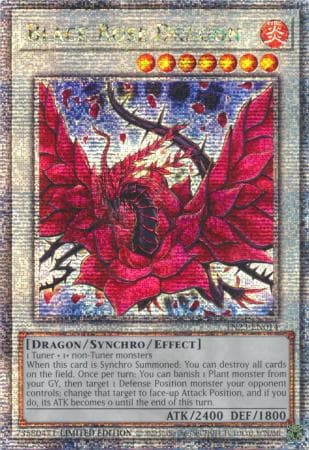 Black Rose Dragon - TN23-EN014 Quarter Century Secret Rare Limited Edition