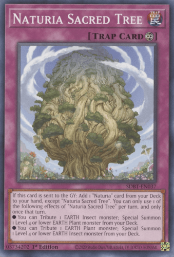 Naturia Sacred Tree - SDBT-EN037 Common 1st Edition